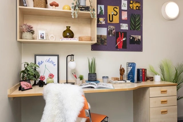 Additional image 2 of Bedsit, Leadmill Road, S1, N1 7GU