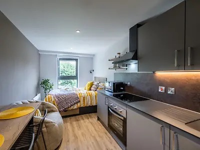 Studio Flat, Murieston Crescent, EH11, N1 7GU