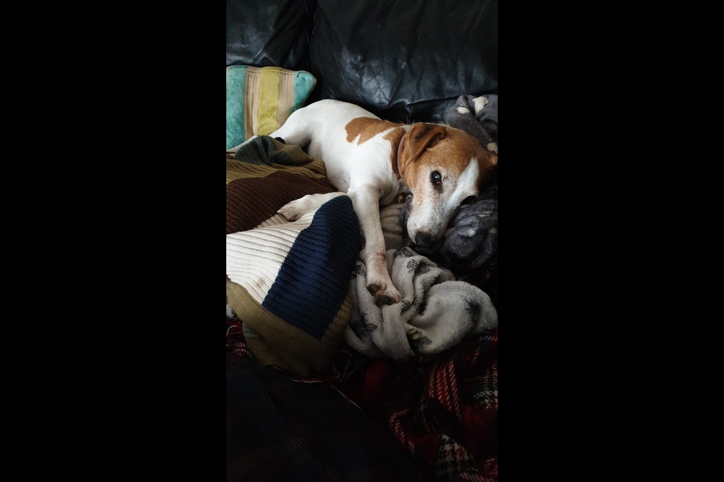 Additional image 8 of Room in a Shared House, Eastridge Drive, BS13, N1 7GU