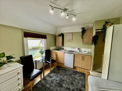 Studio Flat, Lynton Road, W3