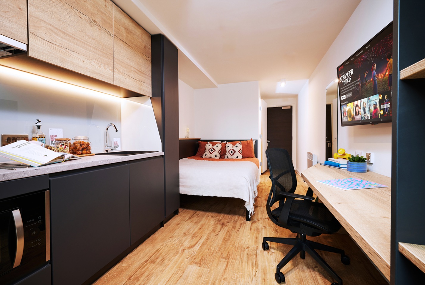 Studio Flat, Cathays, CF10, N1 7GU