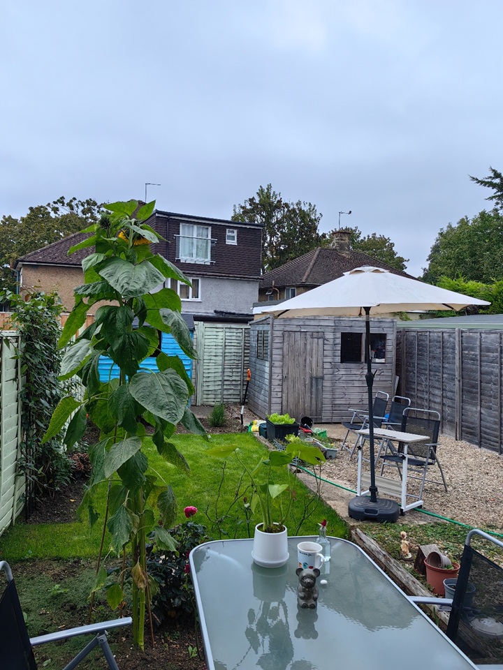 3 Bed Semi-Detached House, Colterne Close, OX3, N1 7GU