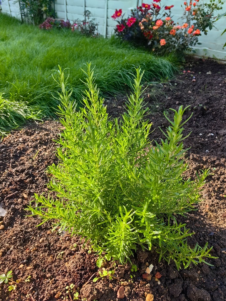 Additional image 8 of 3 Bed Semi-Detached House, Colterne Close, OX3, N1 7GU