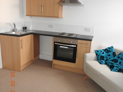 1 Bed Flat, The Halls, NE63
