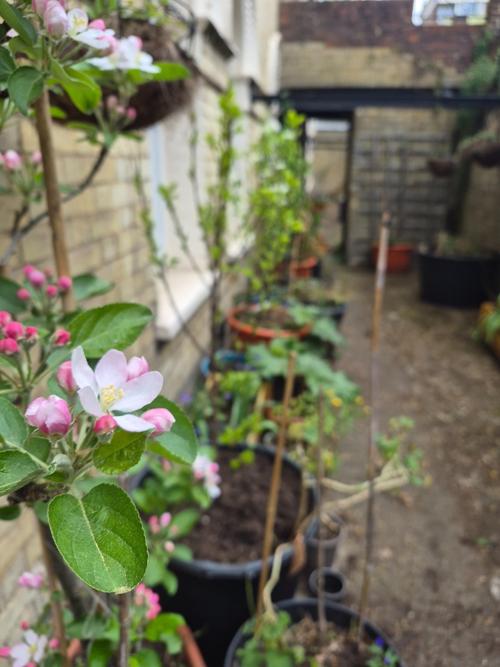 Additional image 8 of Room in a Shared Flat, Bath Terrace, SE1, N1 7GU