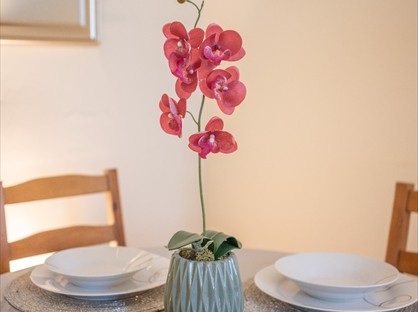 2 Bed Flat, Paris St, FK3