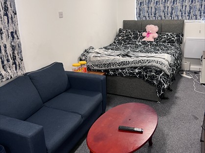 Room in a Shared House, Denmark Road, BR1