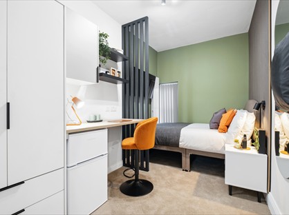 Room in a Shared House, Frances Road, B23