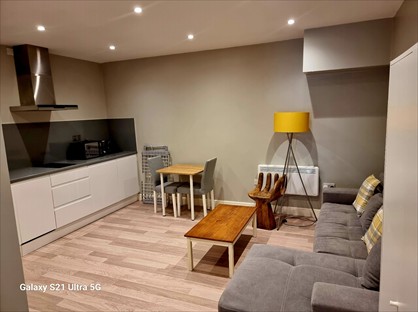 Studio Flat, Blaenant, RG4