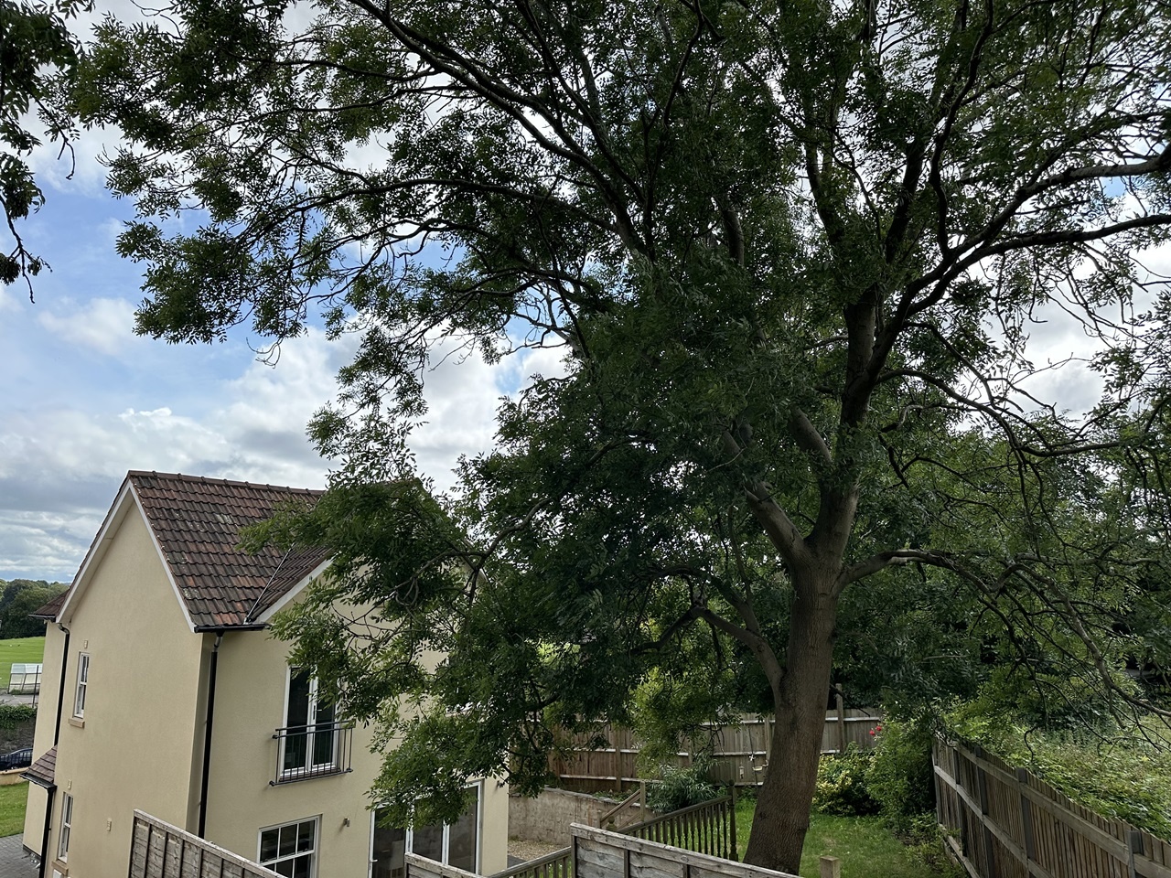 Room in a Shared House, Bell Hill, BS16