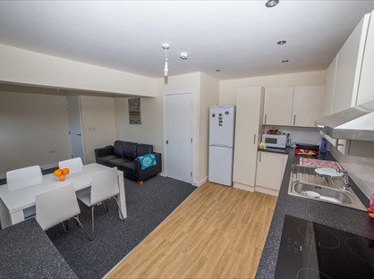 Room in a Shared Flat, Deacon House, LE2