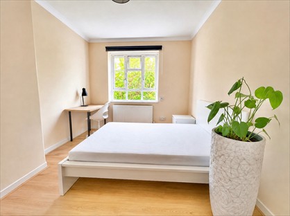 Room in a Shared Flat, Ellenborough House, W12