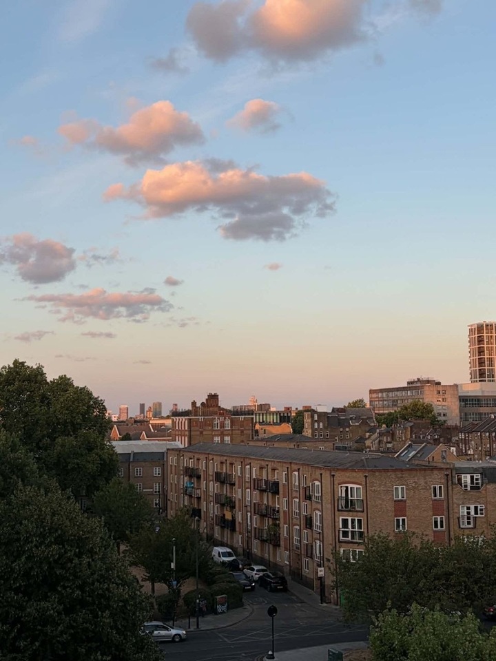 Room in a Shared Flat, Pauline House, E1