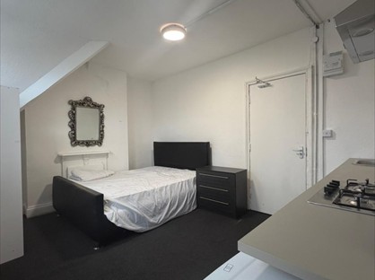 Room in a Shared House, Horse Fair, B1