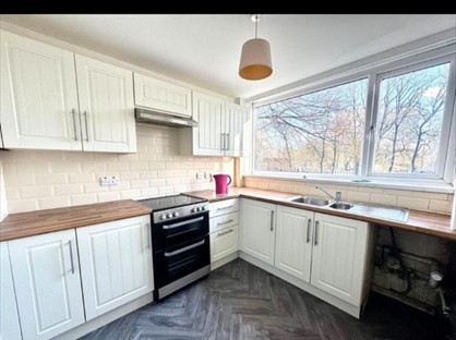 Studio Flat, Wild House, OL8
