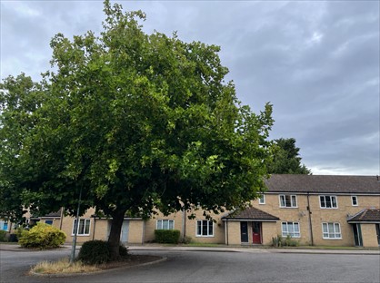 2 Bed Flat, Francis Darwin Court, CB4