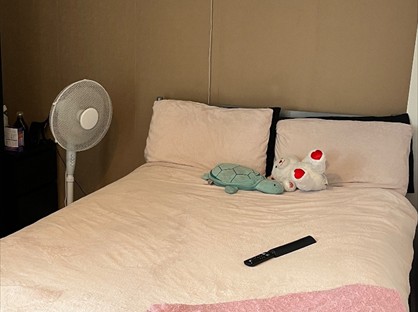 Room in a Shared Flat, Blantyre St, M15