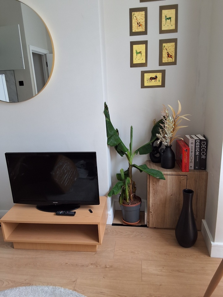 2 Bed Flat, Ashmere Grove, SW2 photo 5