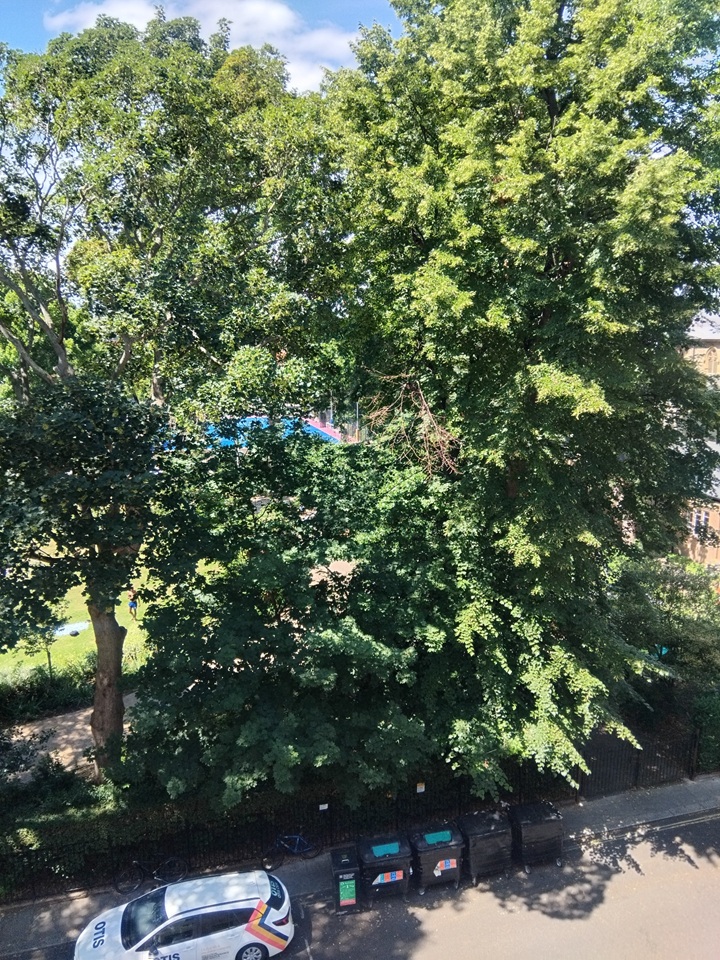 2 Bed Flat, St. Georges Square, SW1V, N1 7GU photo 2