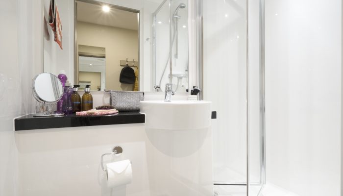 Room in a Shared Flat, York St, BT15