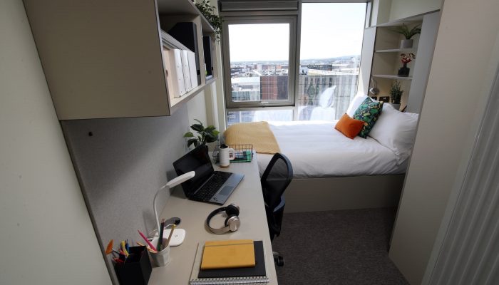 Room in a Shared Flat, York St, BT15 photo 4