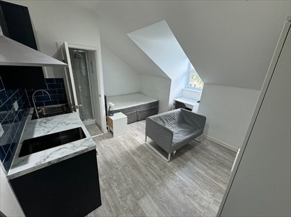 Studio Flat, Goldstone Villas, BN3