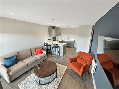 1 Bed Flat, Brassey St, L8