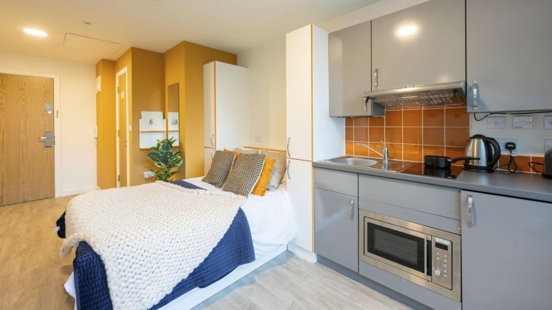 Studio Flat, Matilda Street, S1 photo 3