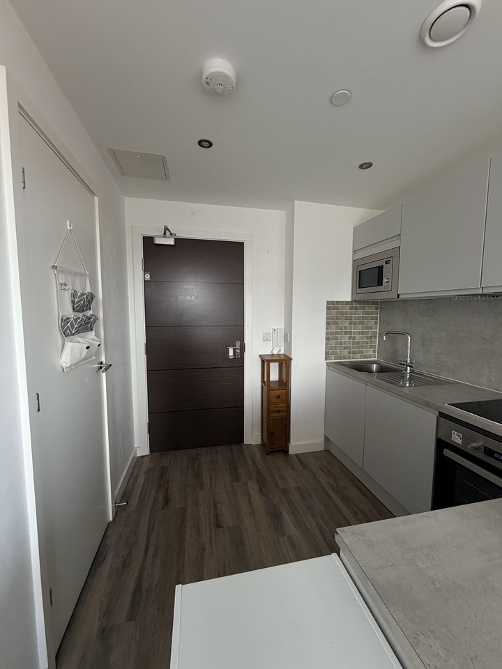 1 Bed Flat, Shalesmoor, S3 photo 3