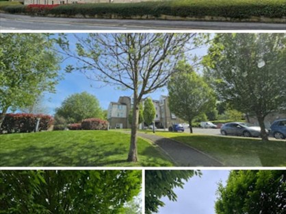 1 Bed Flat, Lunar, BD3