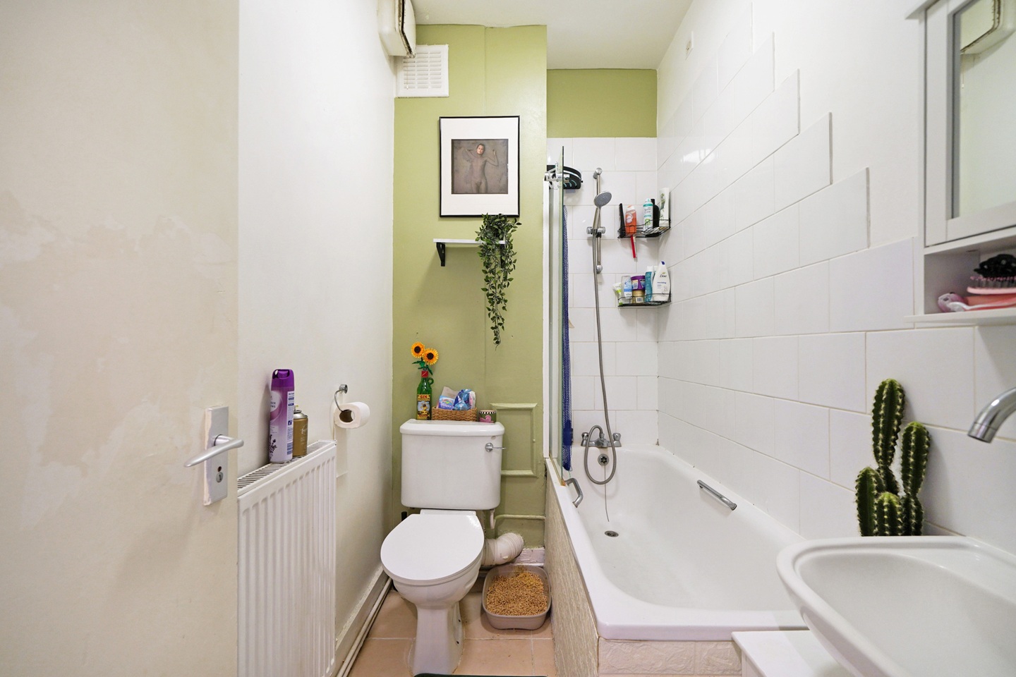 1 Bed Flat, Roden Street, N7 photo 5