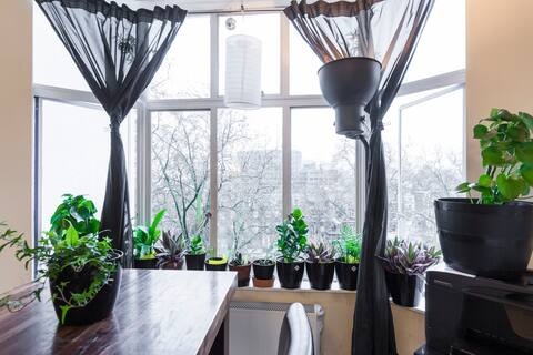 1 Bed Flat, Gray's Inn Rd, WC1X photo 3