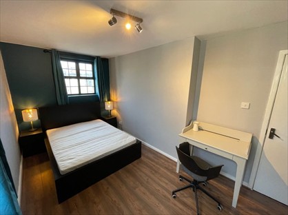 Room in a Shared Flat, Mare St, E8