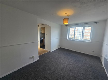 Studio Flat, John Silkin Lane, SE8