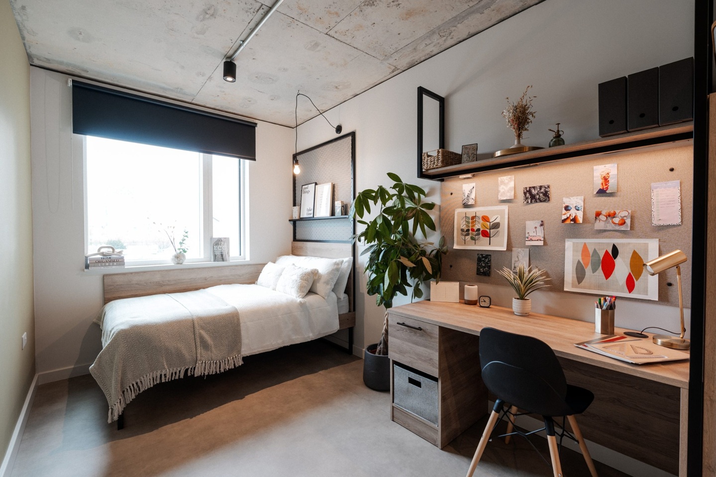 Room in a Shared Flat, Ruby St En-Suite Room, SE15