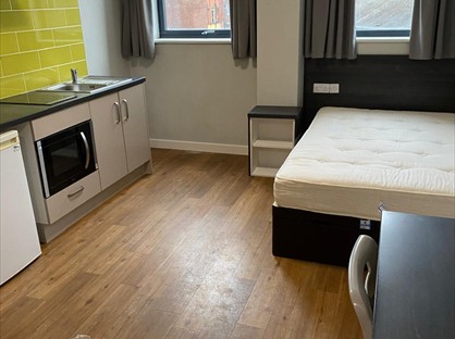 Room in a Shared Flat, Queen St, S1
