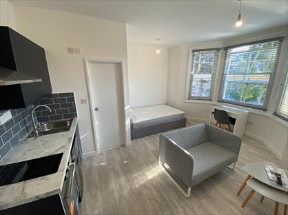 Studio Flat, Goldstone Villas, BN3