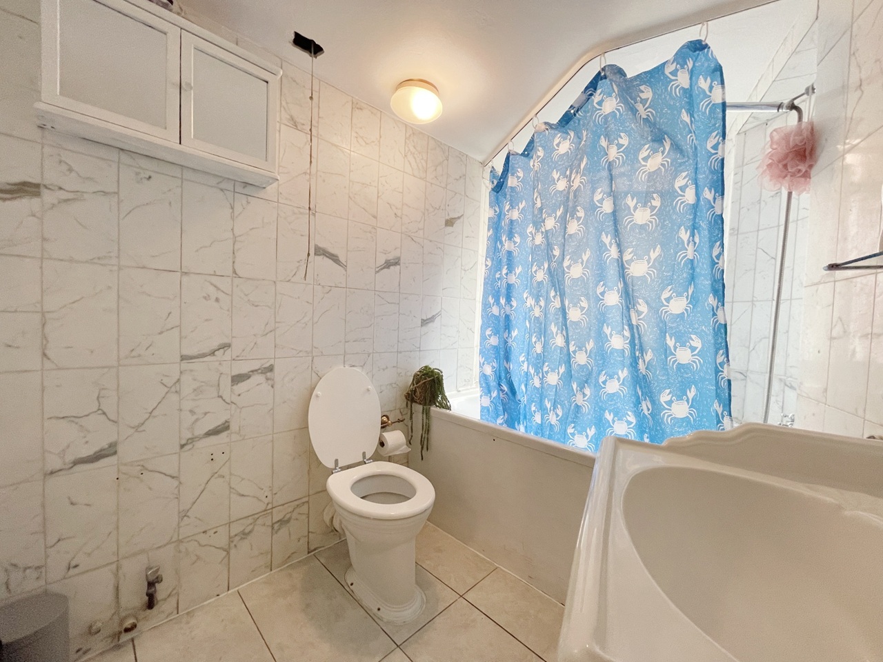 Room in a Shared Flat, Hyde Park Mansions, NW1 photo 5