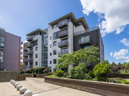 1 bed flat/apartment for rent in Studio Flat, Nebraska Building, SE13