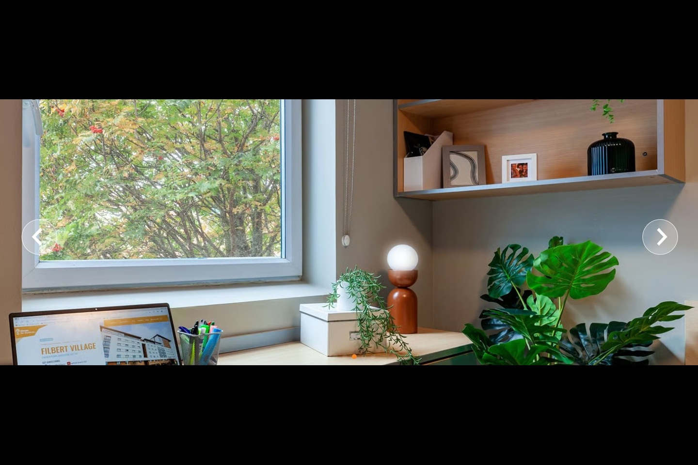 Room in a Shared Flat, Filbert Village, LE2 photo 4