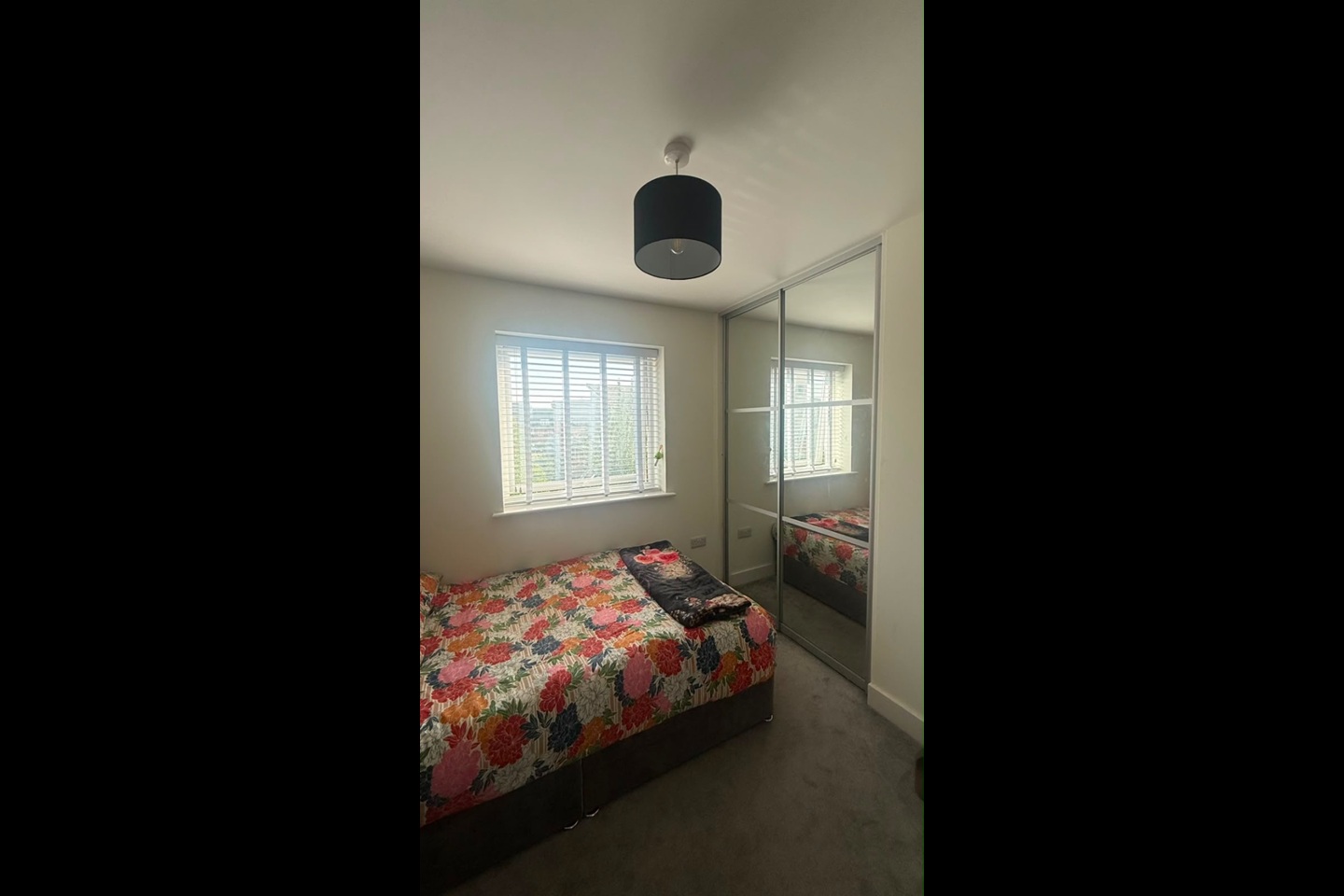 Room in a Shared Flat, Heron House, RG2 photo 3