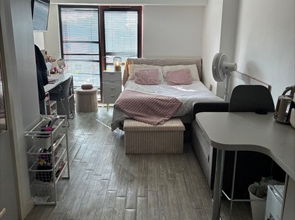 Studio Flat, Trafford Street, CH1