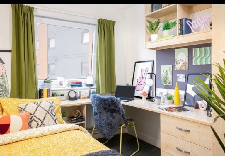 Room in a Shared Flat, Aston St, B4
