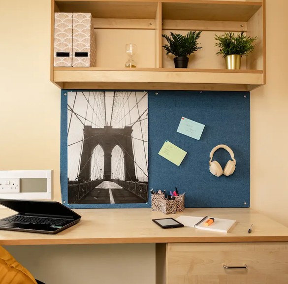 Room in a Shared Flat, Leeds Student Village, LS3 photo 4