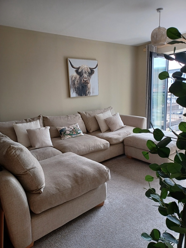 Room in a Shared Flat, Station Street, BT3 photo 2