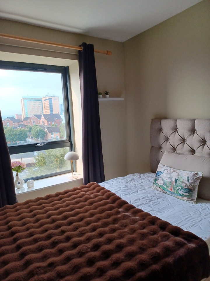 Room in a Shared Flat, Station Street, BT3 photo 5