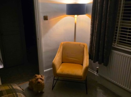 Room in a Shared House, Lower Ellacombe Church Road, TQ1