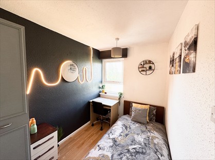 Room in a Shared Flat, Hind Grove, E14