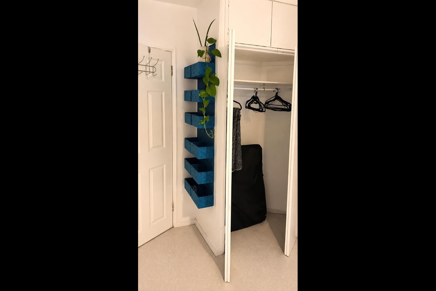 Room in a Shared Flat, Wilcox Road, SW8 photo 3