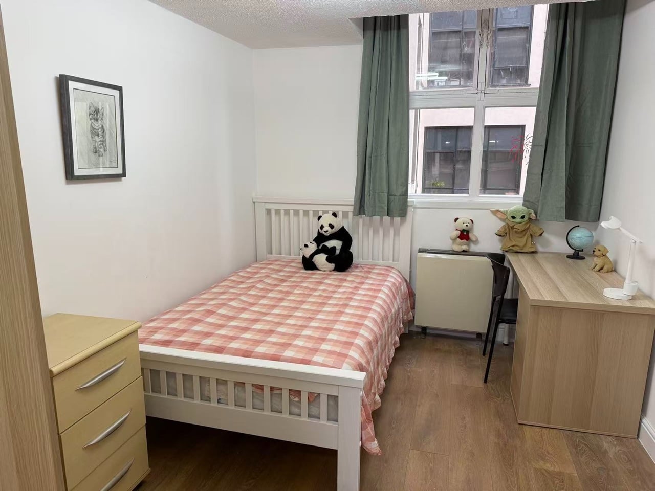 Room in a Shared Flat, Granby Row, M1 photo 2